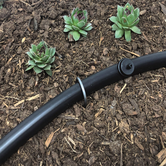 A 6-inch wire U-stake designed for 1/2-inch drip tubing with plants and soil in the background. Holding 1/2" drip irrigation tube in place.