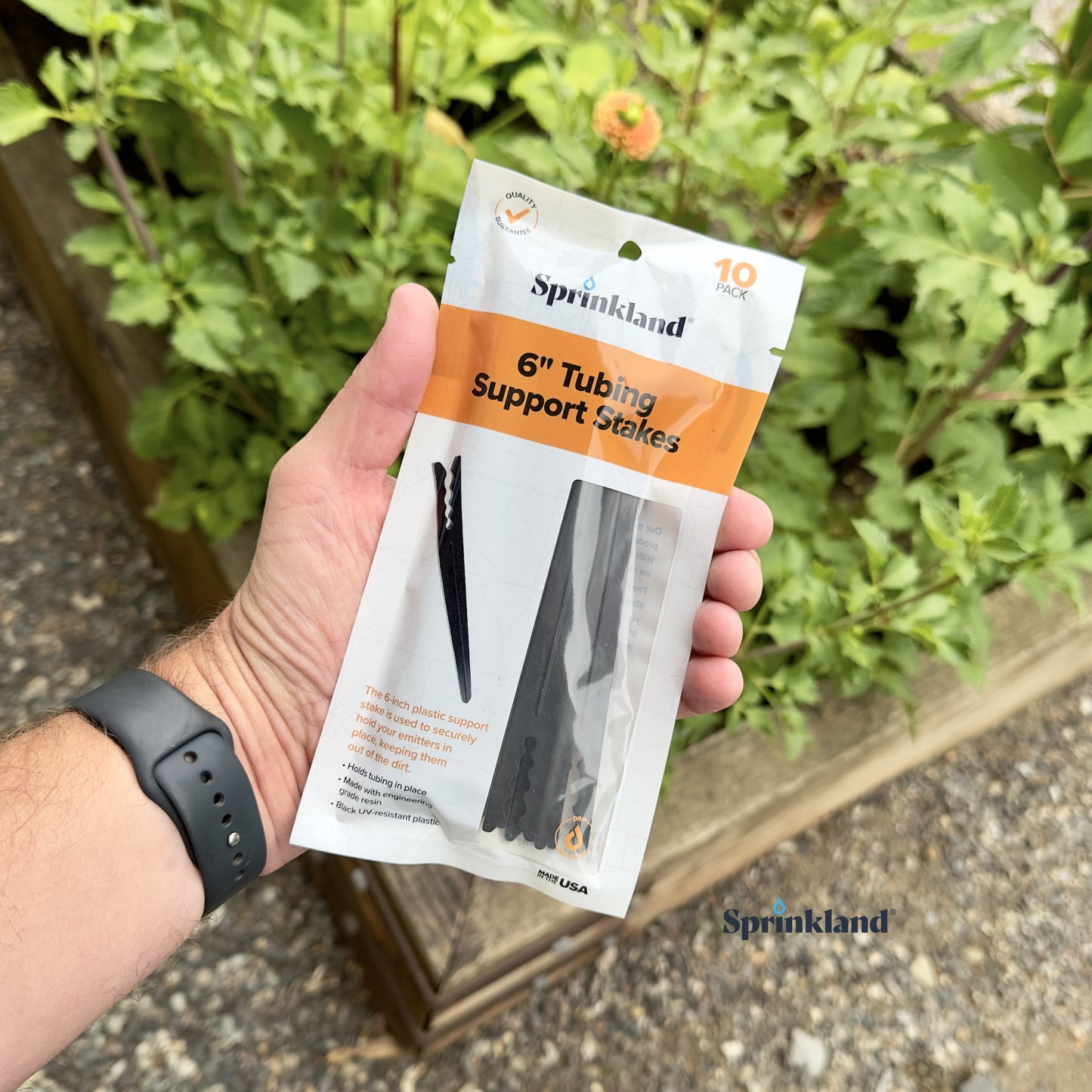 A 10 pack of black 6" drip tubing plastic support stake designed to hold tubing in place with plants and soil in the background.