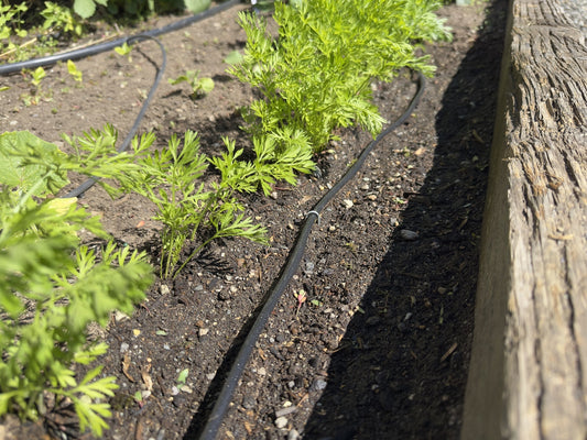 Planting and Growing Allow Us to Engage Outside