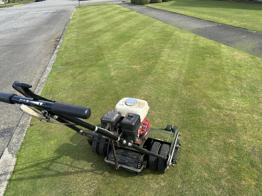 You know the lawn