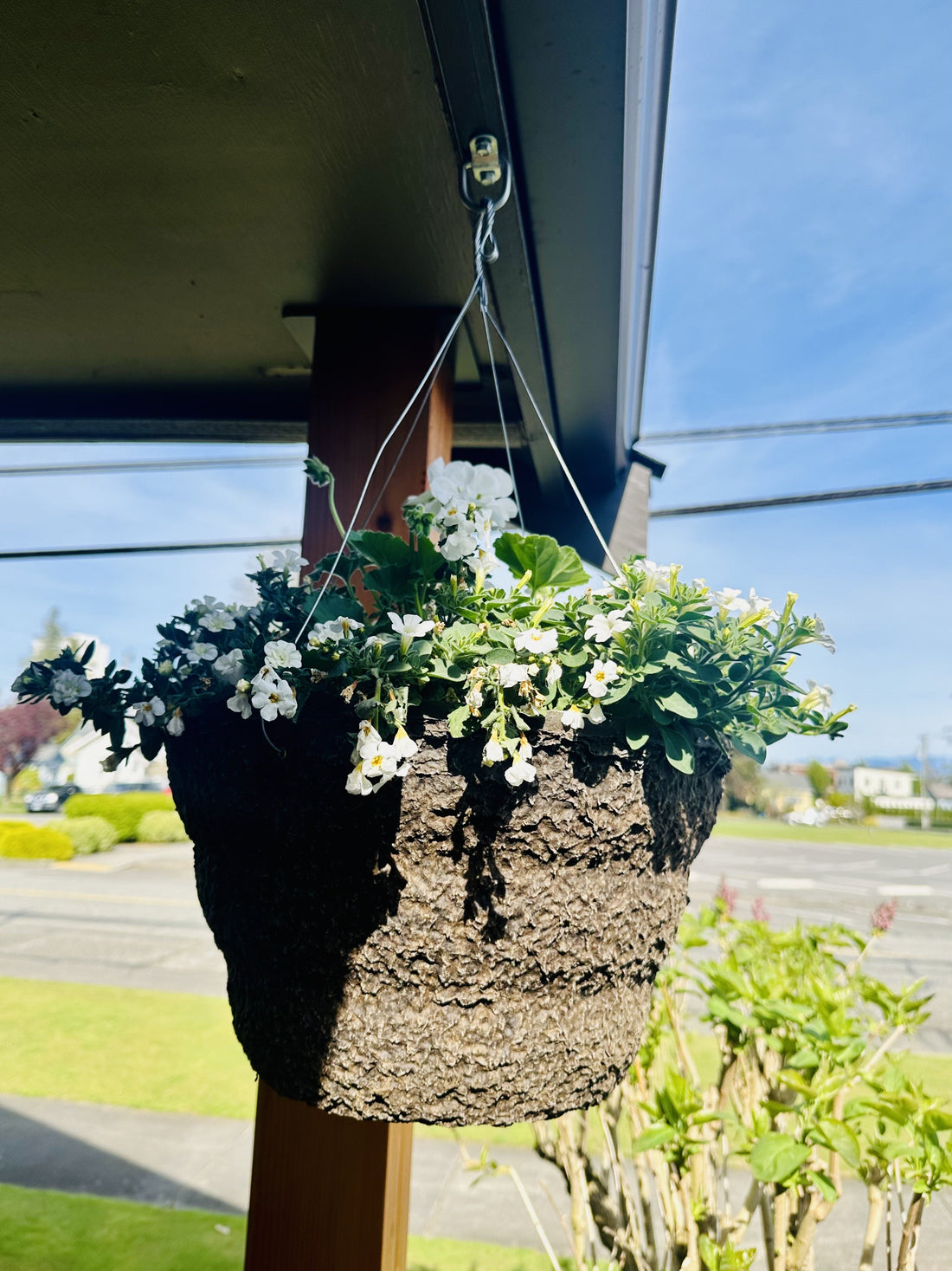 Hanging basket how to keep watered with drip irrigation.