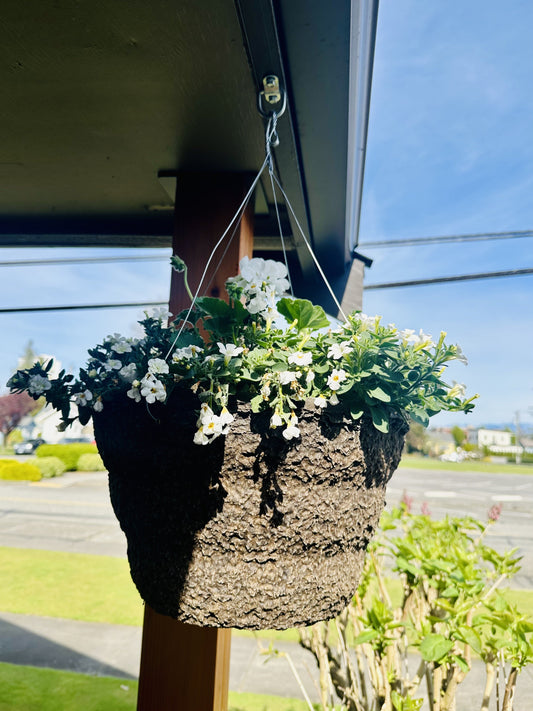 Hanging basket how to keep watered with drip irrigation.