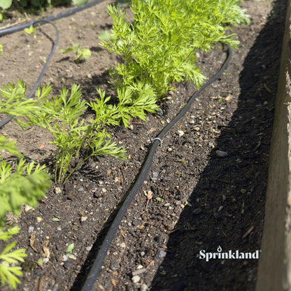 1/4" Dripline Emitter Tubing | 100 Ft Roll | Built-In Emitters Every 6 Inches | Includes Punch Tool & 1/4" Connector Fittings | 1/2 GPH Emitters