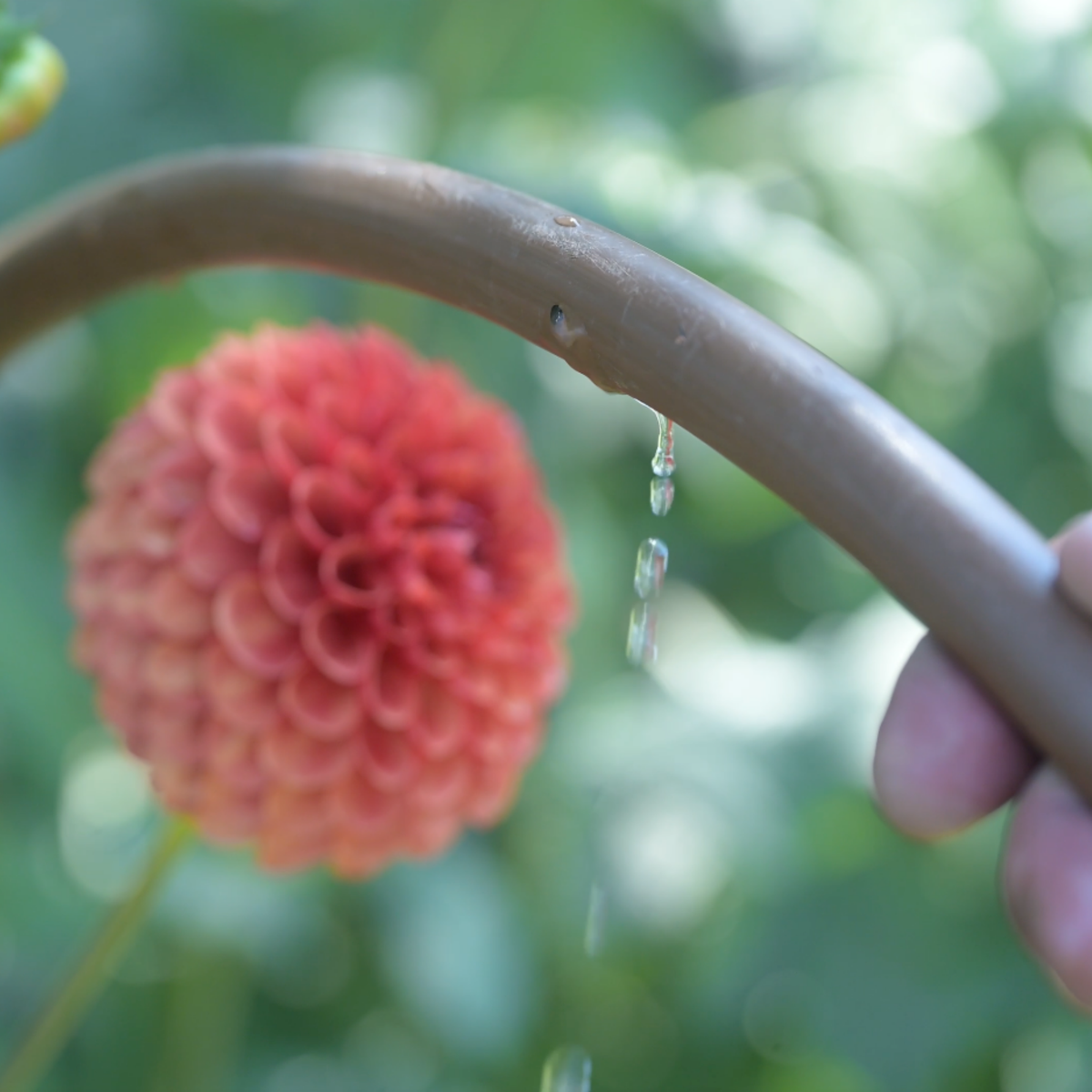 Garden Bed Soaker Kit | 100 ft.