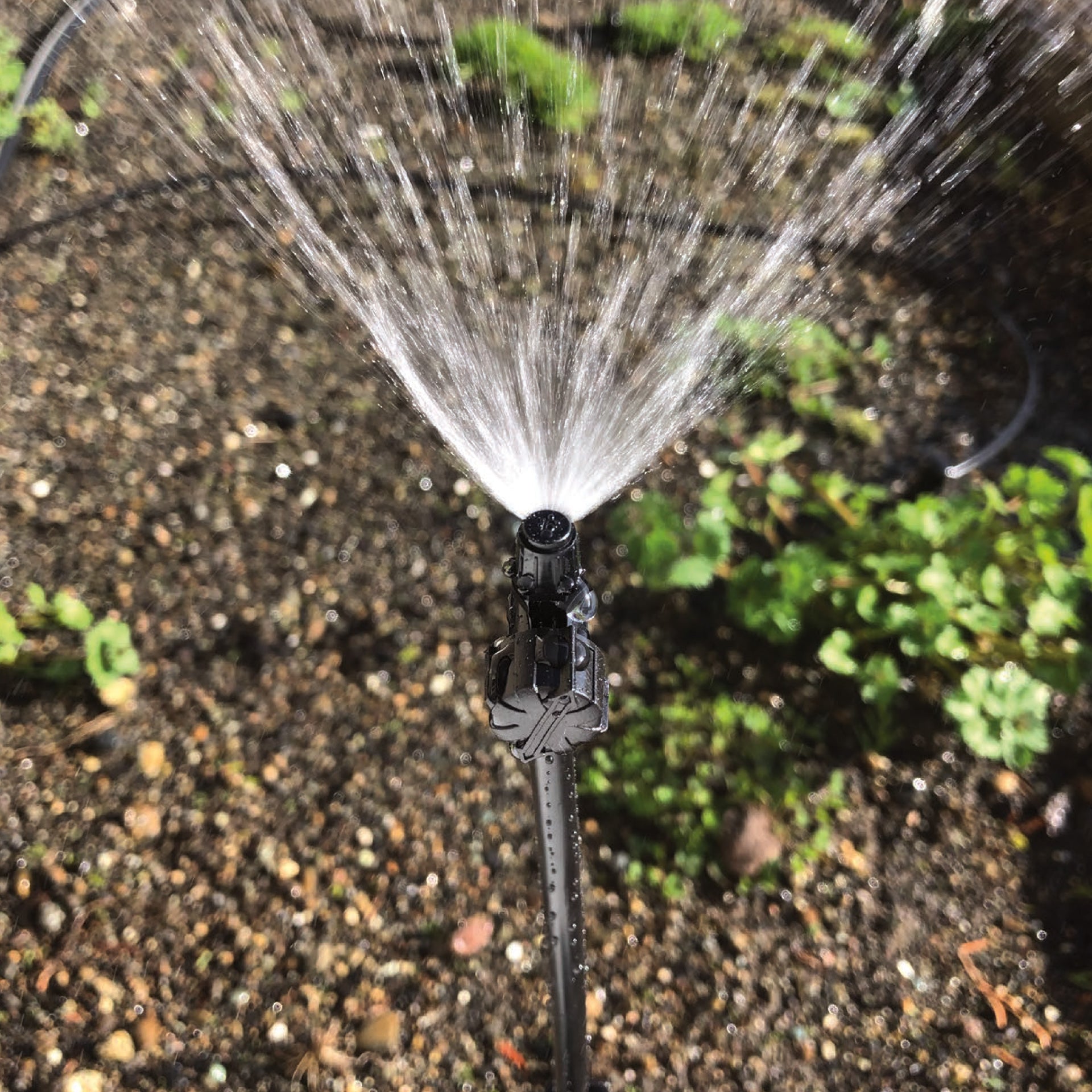 A black 90-degree spray head with adjustable flow, designed for use in lawn and garden irrigation systems with plants an soil in the background. 