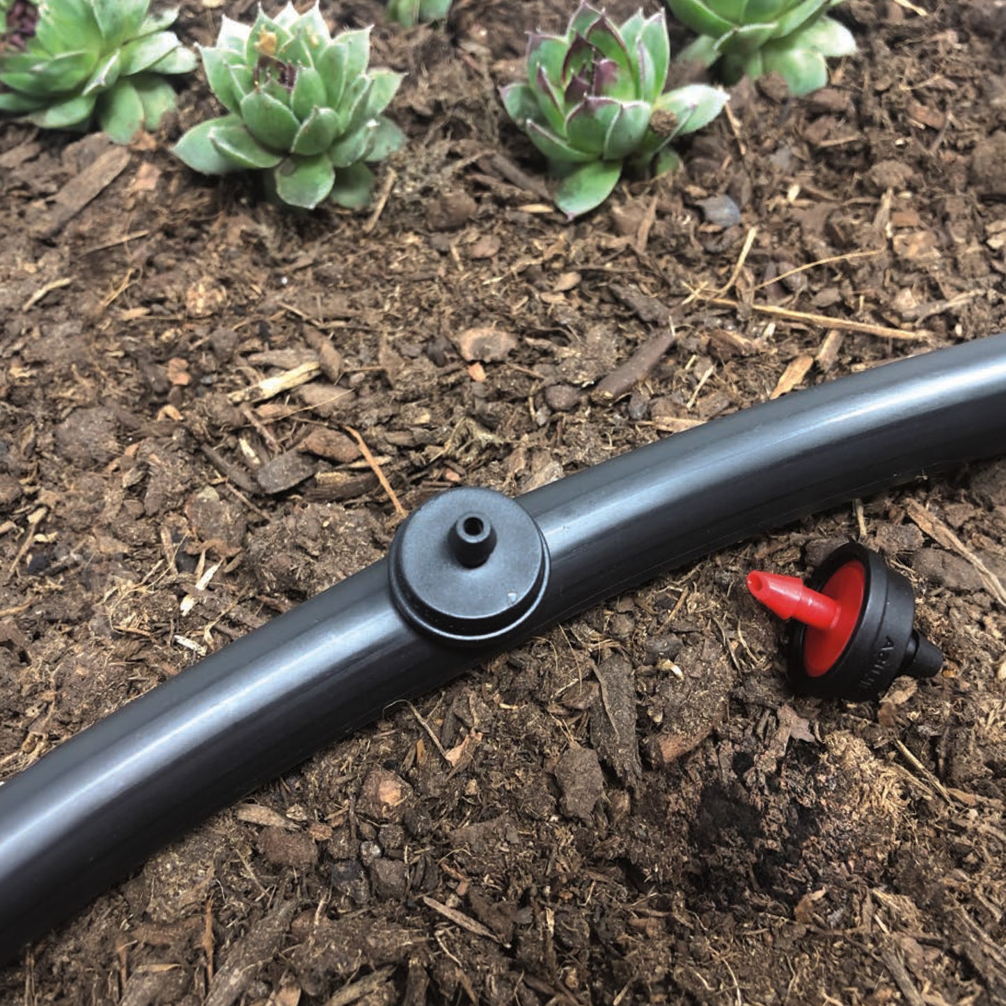 A black and red, plastic 1/2 GPH drip emitter for sprinklers with a 1/4" barb inlet and outlet, color-coded for flow rate identification installed into 1/2" drip tubing with plants and soil in the background.