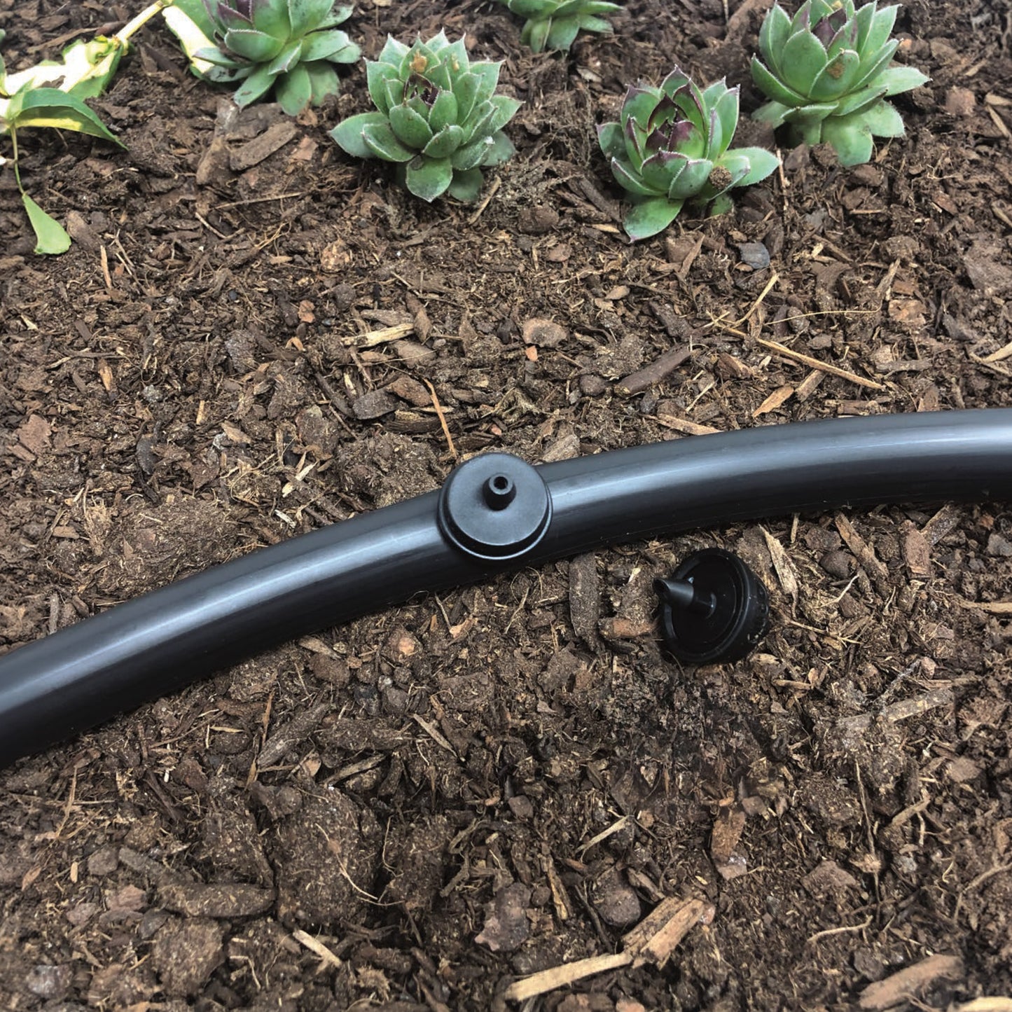A black, plastic 1 GPH drip emitter for sprinklers with a 1/4" barb inlet and outlet, color-coded for flow rate identification installed into 1/2" drip tubing with plants and soil in the background.