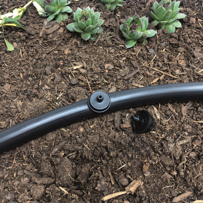 A black, plastic 1 GPH drip emitter for sprinklers with a 1/4" barb inlet and outlet, color-coded for flow rate identification installed into 1/2" drip tubing with plants and soil in the background.