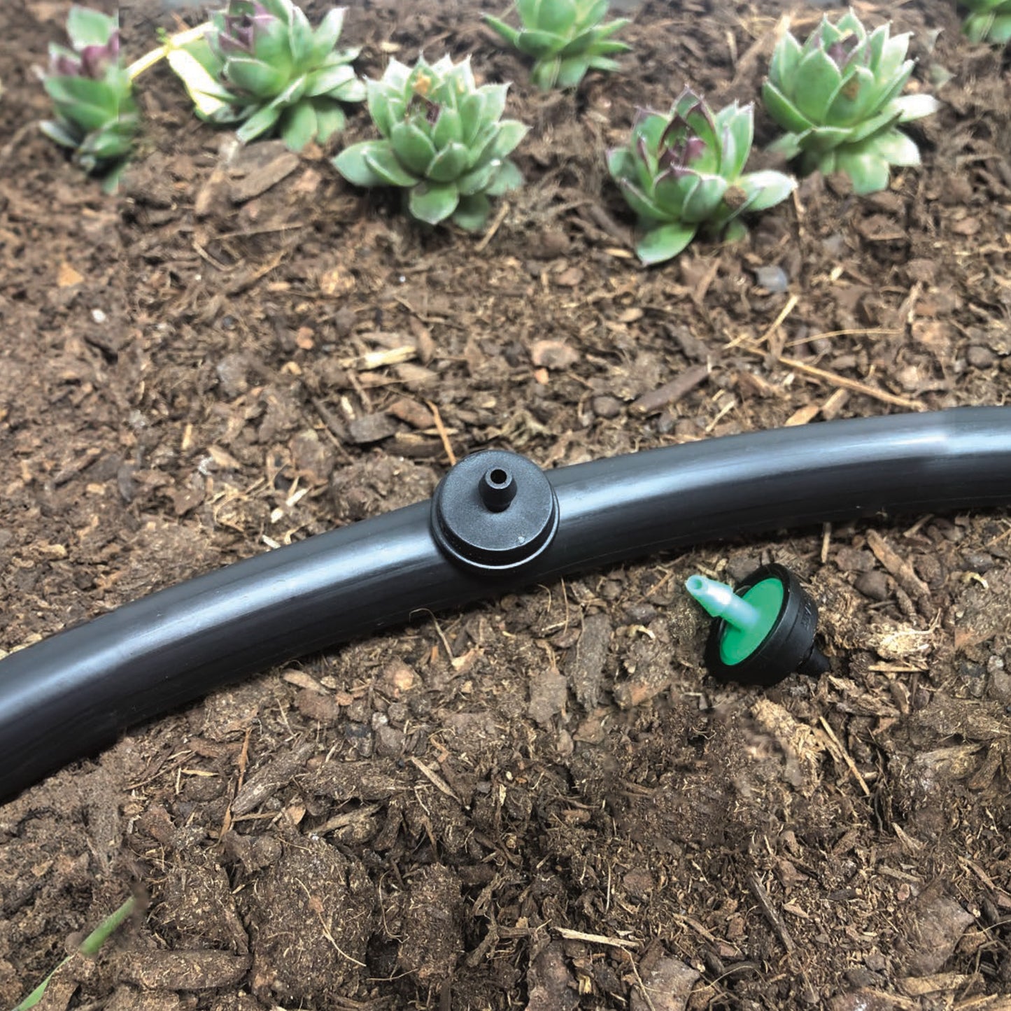 2 GPH Drip Emitters (10 Pack)