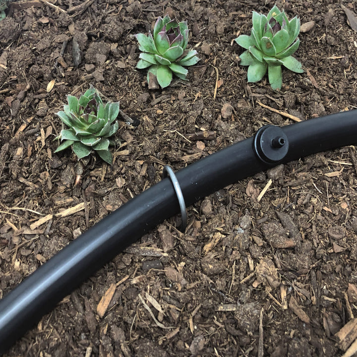 1/2" Drip Irrigation Supply Tubing - 100 ft. Coil