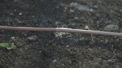 1/4" Emitter Tubing | 100 ft.